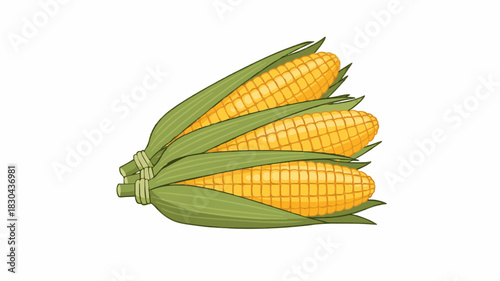 Fresh Corn Illustration Icon – Yellow Corn Cobs with Green Husks, Clean Flat Vector Style, Smooth Lines, Soft Shading, Perfect for Food Design, Branding, and Packaging