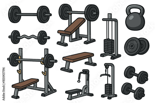 Collection of weightlifting and fitness equipment including barbells, dumbbells, benches, and gym machines