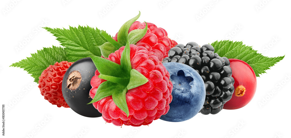 Obraz premium wild berries mix, raspberry, currant, blueberry, blackberry, isolated, full depth of field