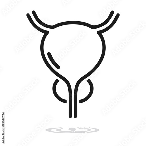 illustratin vector of prostate icon useful for healthcare, medical educational material, brochures, or websites. A clean, minimalist design for medical professionals and health resources.
