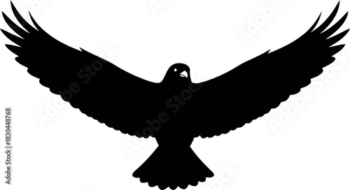 Black silhouette eagle flying wings spread
