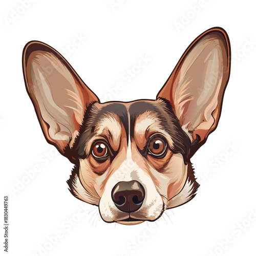 un bellissimo cane per amico 07