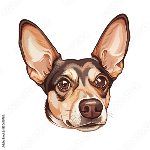 un bellissimo cane per amico 06