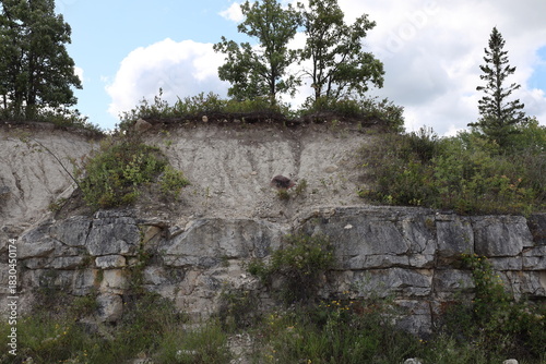 Schilderij op canvas rocky outcropping layer with thick sand, soil layer above and tenacious plant li