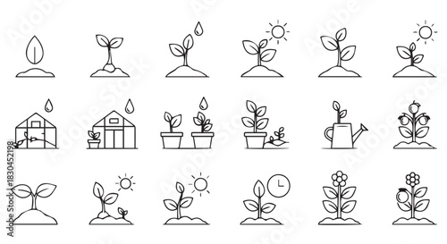 Line art illustration depicting plant growth stages and gardening elements in a sequence showcasing botanical development and horticultural practices