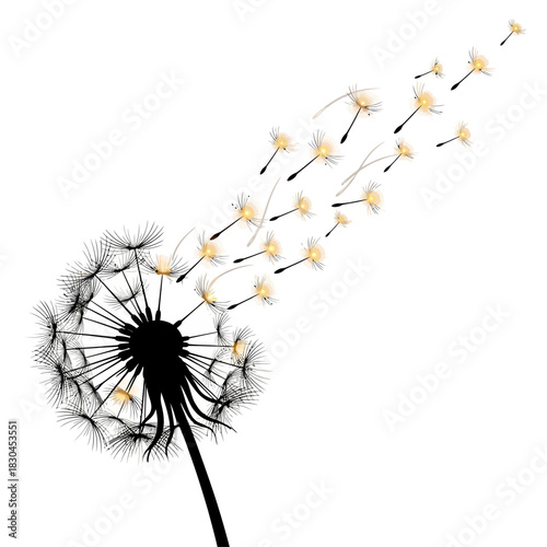 Dandelion Wishes A Black Silhouette and Floating Seeds on a White Background