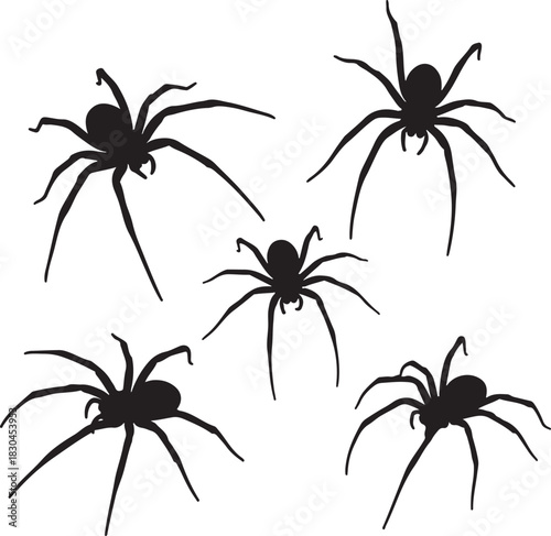 Group of five spider silhouettes