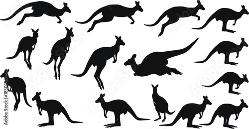 Kangaroo silhouette collection, Australian wildlife poses illustration, animal artwork, jumping kangaroo design, nature and wildlife concept