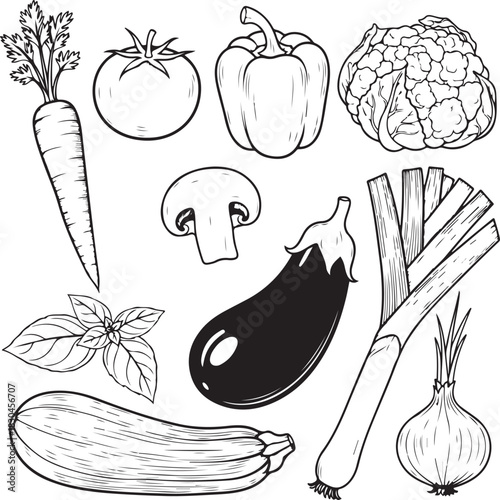 Vegetable Illustration Line Art 