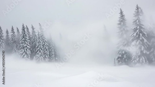 Fierce winter blizzard with strong wind blowing snow across a remote evergreen forest in the mountains. Seamless looping video of a heavy snowstorm.