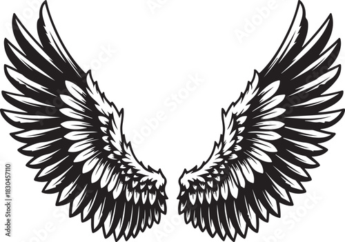 Black and white angel wings vector illustration design
