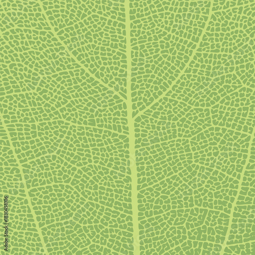 Leaf vein texture abstract background with close up plant leaf cells ornament texture pattern. Orange organic macro linear pattern of nature leaf foliage vector illustration.