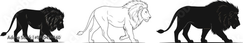Lion illustration set, walking posture, silhouette and outline contrast, artistic progression, wild animal concept, expressive design, black and white theme