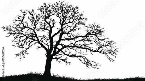 Vector illustration of silhouette of a large, leafless deciduous tree standing on a grassy mound