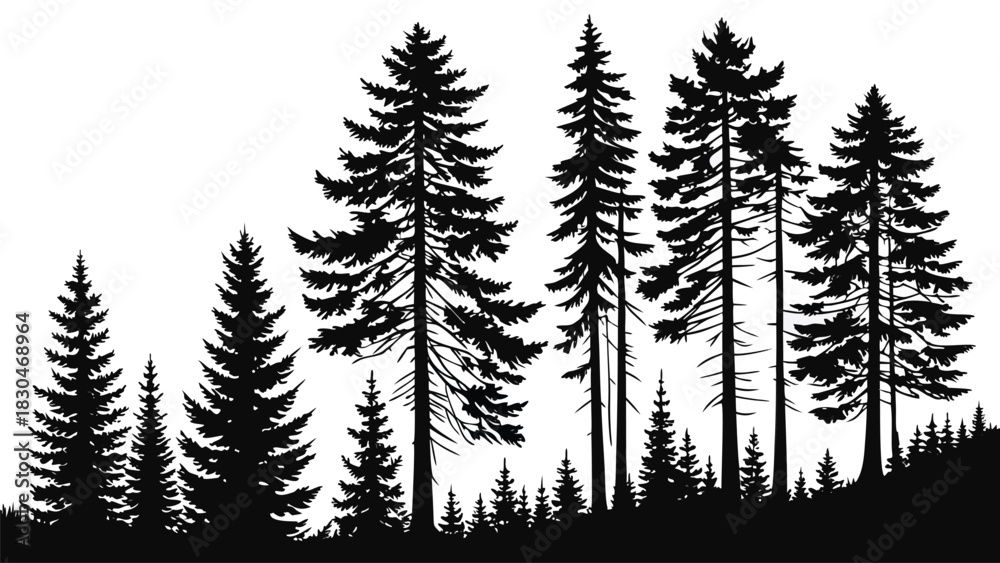 Obraz premium Vector illustration silhouette of evergreen trees, creating a serene forest landscape with varying heights and shapes