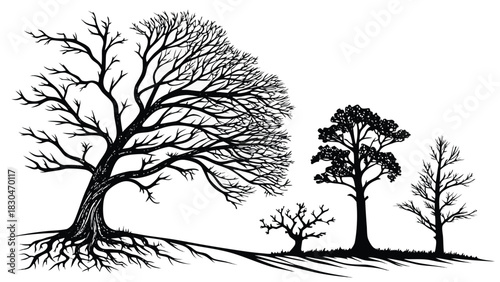 Vector illustration of black and white illustration of various deciduous trees with exposed roots and intricate branch patterns