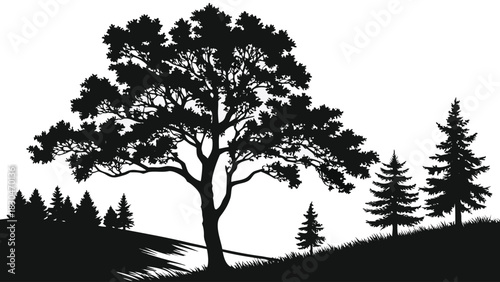 Vector illustration of silhouette of a large deciduous tree standing prominently among smaller evergreen trees on rolling hills against a white backdrop