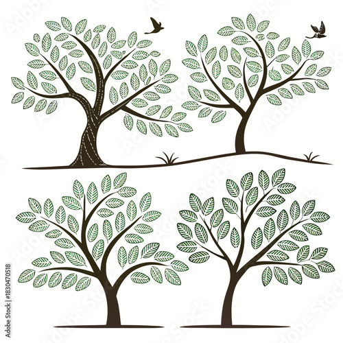 Vector illustration of four stylized illustrations of leafy green trees with dark brown trunks and branches
