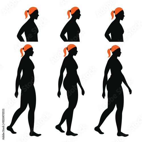 Vector illustration of silhouette progression showing body shape changes in standing and walking female figure