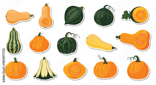 A vibrant collection of diverse squash and pumpkins, including butternut, acorn, and pattypan varieties, showcasing their unique shapes and colors.