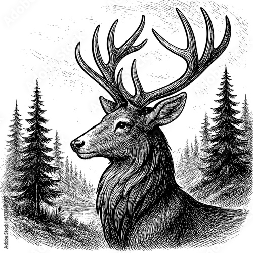 Black and White Engraving of Deer in Nature Landscape