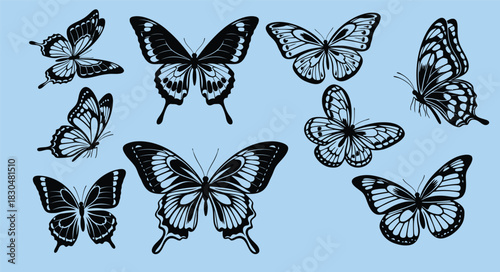 Collection of intricate black and white butterfly silhouettes in various poses