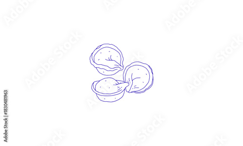 Delicious illustration of three hand-drawn, cartoon style tortellini pasta elements isolated on white