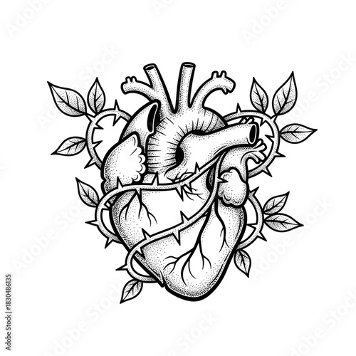 Anatomical Heart Wrapped in Thorny Vines with Leaves.
