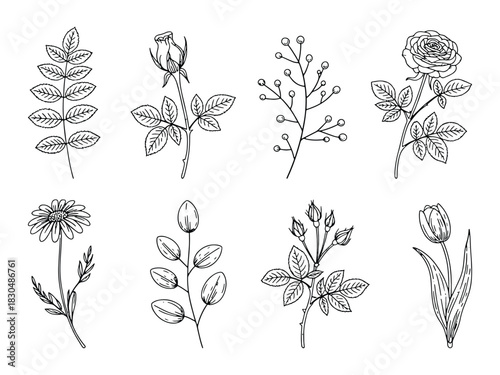 Elegant black rose illustration with delicate petals and subtle greenery ideal for romantic or sophisticated designs