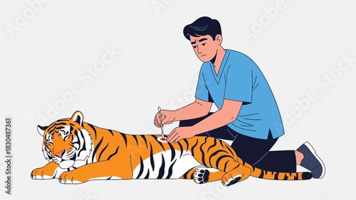 A Veterinarian Treating an Injured Tiger with Medical Care
