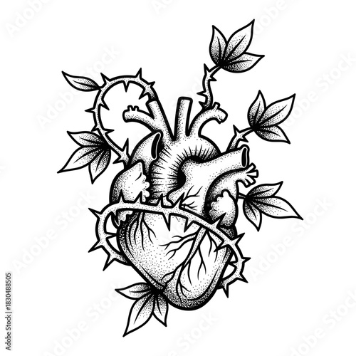 Anatomical Heart Wrapped in Thorny Vines and Leaves.