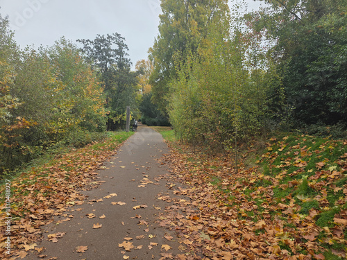 autumn in the park