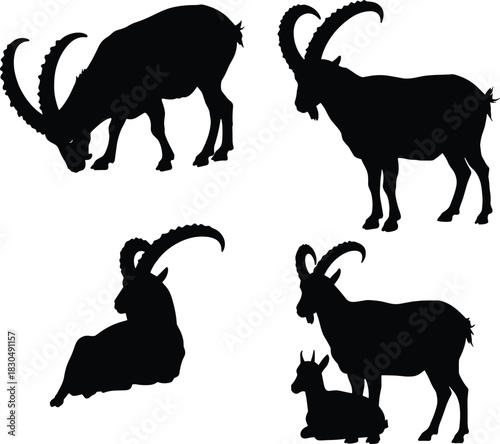 Goat silhouette vector, grazing standing lying poses, livestock clipart, black animal graphic, isolated farm mammal design, family scene