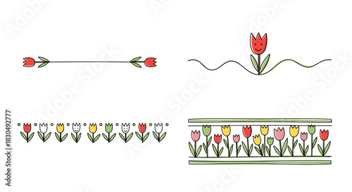 Floral-themed decorative dividers, tulip accents, charming design elements for creative projects, copy space