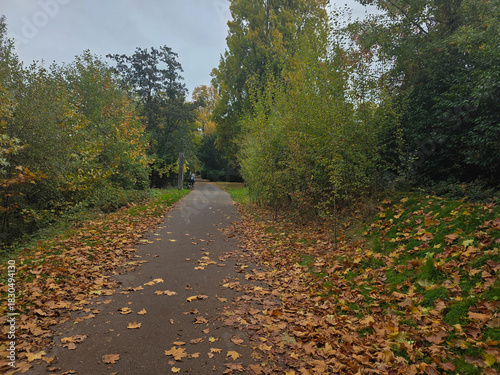 autumn in the park