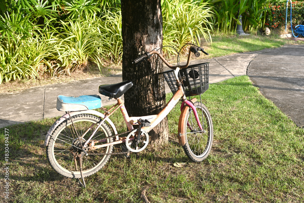 Fototapeta premium An old bicycle under a tree in a park.