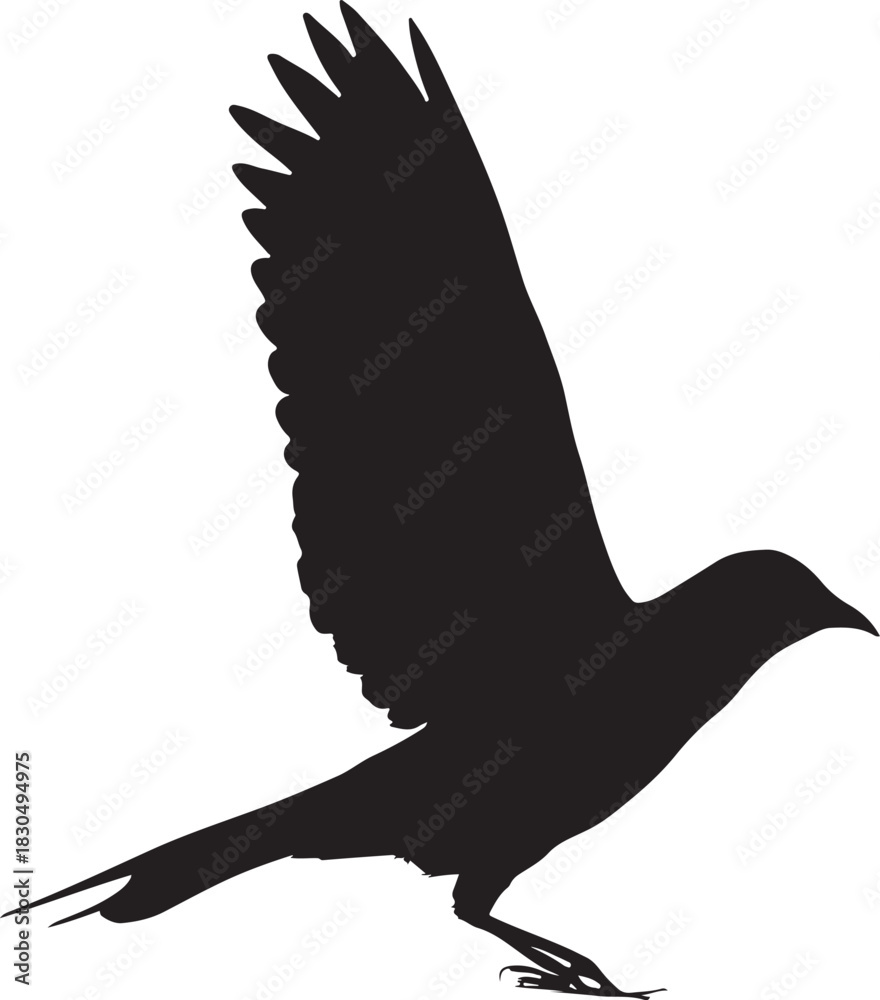 Naklejka premium Crow or Raven Silhouette Vector – Black Bird Landing with Raised Wings