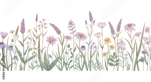 Floral Border Delight: An exquisite assortment of wildflowers adorn a delicate arrangement, presenting a visual celebration of nature's beauty and an ode to spring's rebirth.