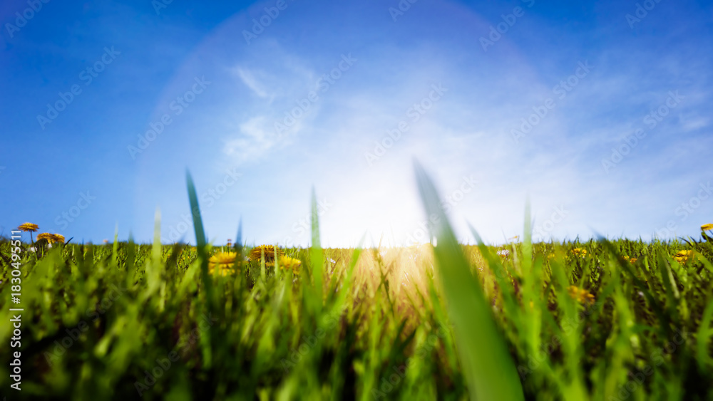 Naklejka premium Colorful wildflowers blooming in a fairytale meadow under a night sky filled