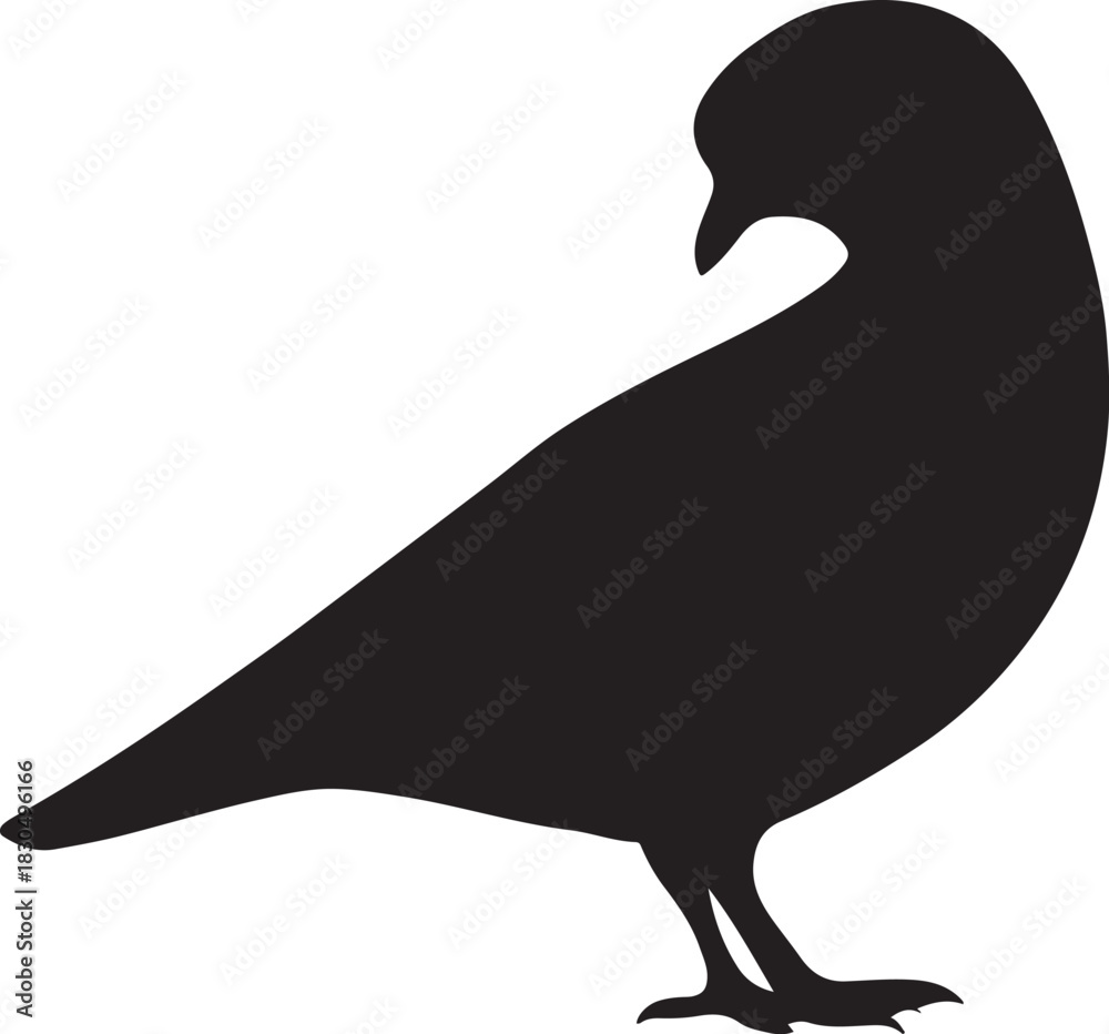 Fototapeta premium Pigeon Dove Silhouette Vector – Standing Bird Icon Isolated on White