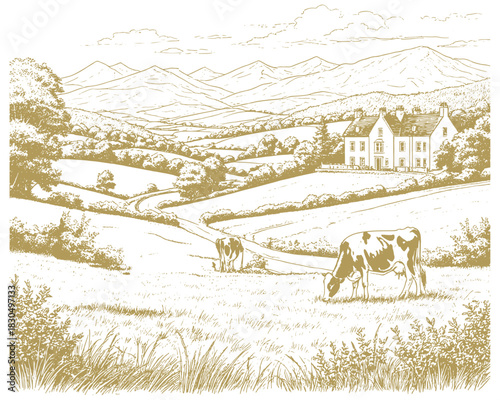 Spacious pastures on hills. There are mountains and forests on the horizon. Cows graze in field, grass and bushes in the foreground. Vector illustration. Sketch is linear drawing on a white background