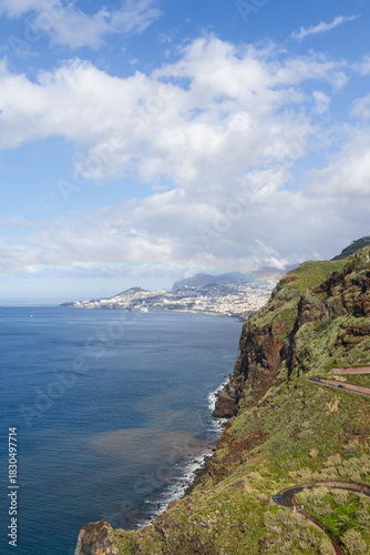 Wallpaper Mural Steep Madeira coastline with lush slopes descending to ocean, showing winding road and Funchal skyline beneath soft cloudy sky Torontodigital.ca
