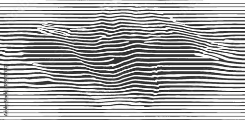 Black and white abstract wavy lines forming a three dimensional illusion background