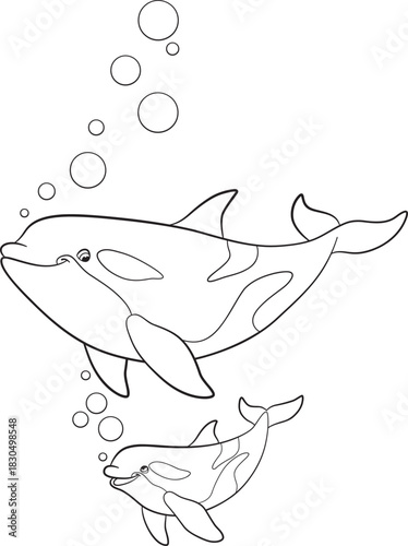 Black and white line art coloring page. Marine wild animals.A cute mother orca and her happy calf smiling at each other while swimming. Whale killer.
