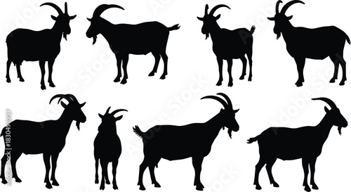 Goat silhouette collection, farm animal poses illustration, livestock artwork, rural agriculture design, horned mammal farming concept