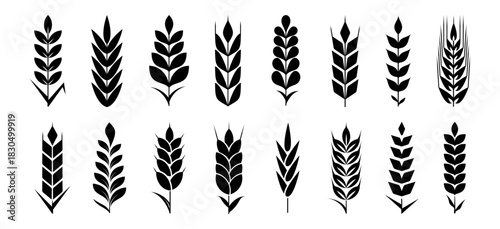 Wheat Ear Silhouette Set. Stylized Grain Iconsand Botanical Branches for Logo, Decorative design
