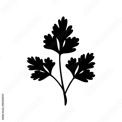 Simple botanical illustration of a cilantro plant, black silhouette against white background