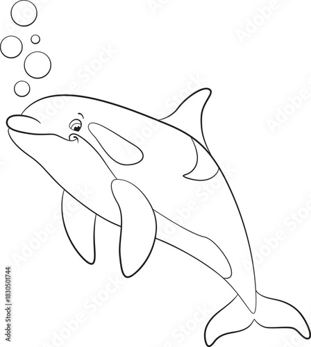 Black and white line art coloring page. Marine wild animals. A cute killer whale swimming peacefully in the ocean. Friendly orca illustration.