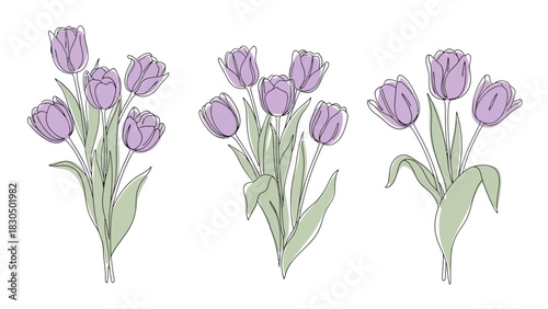 Continuous Line Art Tulips Set: Minimalist Pastel Floral Illustration for Spring & Modern Design