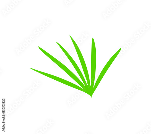 green grass isolated on white